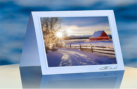 Lavish Cards Christmas card