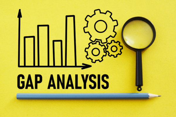Enterprise Gap Analysis